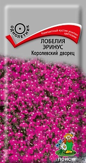 Семена цветов, Лобелия эринус Королевский дворец, 0,1 гр, Поиск