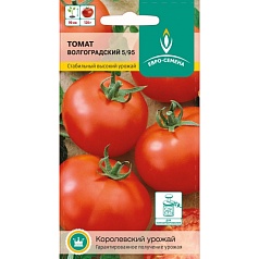 Семена овощей, Томат Волгоградский 5 95 низкорослый, 0,1 гр, ЕВРО-СЕМЕНА