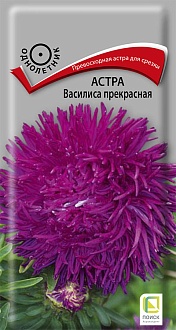Семена цветов, Астра Василиса прекрасная (однолетняя), 0,3гр, ПОИСК