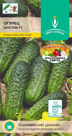 Огурец Шустик F1 цветной пакет 0,25 гр,  партенокарпический, высокоурожайный Евро-семена