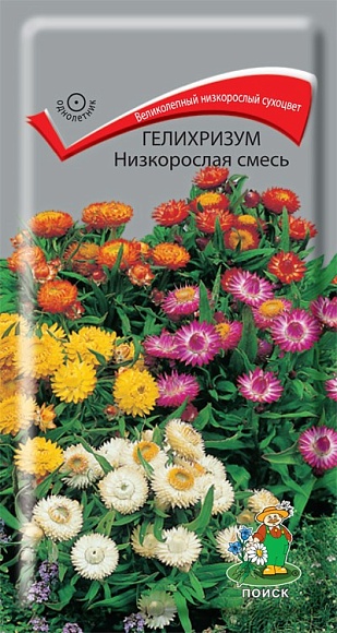 Семена цветов, Гелихризум Низкорослая смесь, 0,1гр, ПОИСК