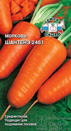Морковь Шантенэ 2461 Евро, 2 гр Седек