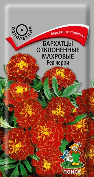 Семена цветов, Бархатцы или тагетес отклоненные махровые Ред черри, 0,3 гр, Поиск