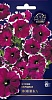 Семена цветов, Петуния Моника F1 многоцветковая Евро, 10 Седек