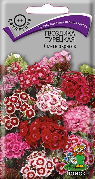 Семена цветов, Гвоздика Турецкая Смесь окрасок, 0,25 гр, Поиск