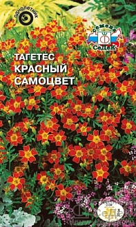 Бархатцы или тагетес красный самоцвет узколистный, оранжевый Евро, 0,1 гр, Седек