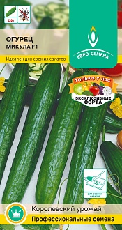 Огурец  раннеспелый, партенокарпический, гладкий, салатный Микула F1 0,25 гр, Евро-семена