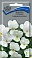 Семена цветов Фиалка (Виола) рогатая Совершенство белая, 0,1гр, ПОИСК