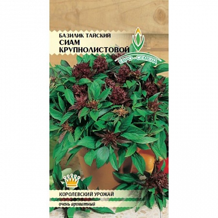 Базилик Сиам крупнолистовой тайский 0,1 гр, раннеспелый, листья зеленые, крупные, до 40 см Евро-семена