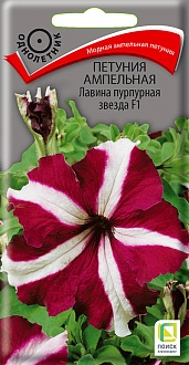 Семена цветов, Петуния ампельная Лавина пурпурная F1, 10шт, ПОИСК