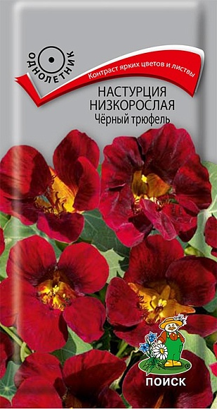 Семена цветов, Настурция низкорослая Чёрный трюфель, 1 гр, Поиск