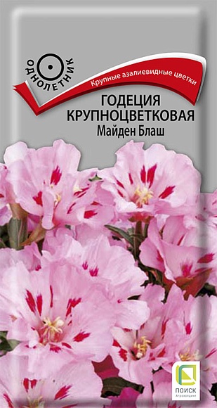 Семена цветов, Годеция крупноцветковая Майден Блаш, 0,2гр, ПОИСК