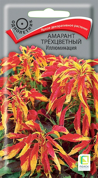 Семена цветов, Амарант трехцветный Иллюминация, 0,1гр, ПОИСК