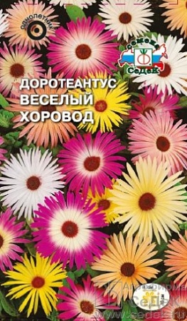 Доротеантус Весёлый Хоровод смесь цветов Евро, 0,2 гр Седек