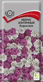 Семена цветов Иберис зонтичный Ягодное желе, 0,1гр, ПОИСК