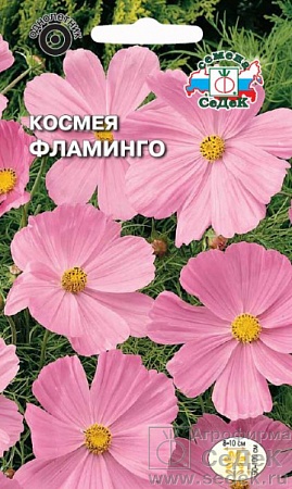 Космея Фламинго дваждыперистая, нежно-розовая Евро, 0,5 гр Седек