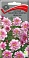 Семена цветов Космея Махровая кнопка Двуцветная, 0,1гр, ПОИСК