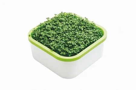 Выращиватель "Здоровья КЛАД" для микрозелени + подарок 1порция кресс-салата