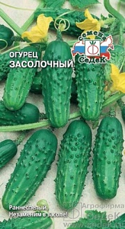 Семена овощей, Огурец Засолочный открытый грунт Евро, 0,3 гр, Седек