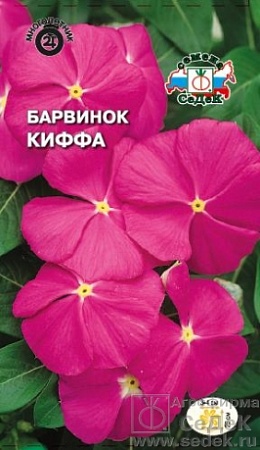 Барвинок Киффа карликовый, лилово-розовый Евро, 0,1 гр Седек