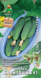 Семена овощей, Огурец Капитошка F1 Сибирская серия А, 12 шт, Поиск