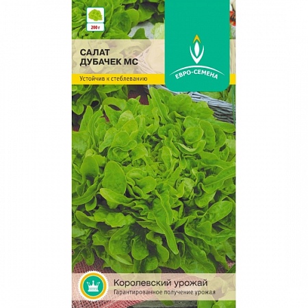 Салат Дубачек МС цветной пакет 0,5 гр Евро-семена