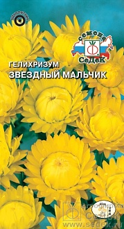 Семена цветов, Гелихризум Звёздный мальчик золотисто-желтый Евро, 0,2 гр, Седек
