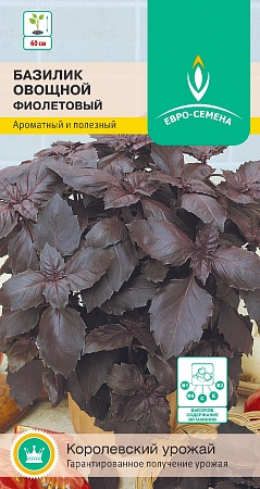 Базилик Фиолетовый цветной пакет 0,3 гр, среднеспелый, фиолетовистный, до 60 см, анисово-гвоздичный аромат Евро-семена