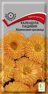 Семена цветов Календула пацифик Абрикосовая красавица, 0,5гр, ПОИСК