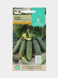 Семена овощей, Огурец Гинга F1, 0,25 гр., ЕВРО-СЕМЕНА