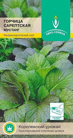 Горчица Мустанг ультраскороспелая,салатная цветной пакет 0,5 гр Евро-семена