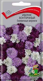 Семена цветов, Иберис зонтичный Ежевичные меренги, 0,1 гр, Поиск