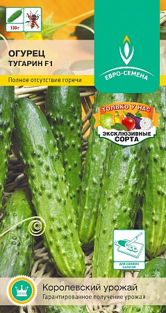 Огурец Тугарин F1 цветной пакет 0,25 гр, раннеспелый,  партенокарпический, бугорчатый, салатный Евро-семена