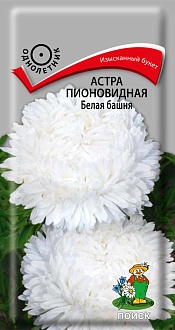 Семена цветов, Астра Пионовидная Белая башня однолетняя, 0,3 гр, Поиск