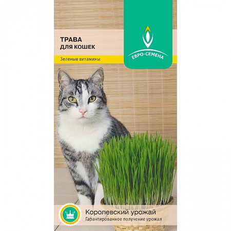 Трава для кошек цветной пакет. 10 гр. ЕВРО-СЕМЕНА