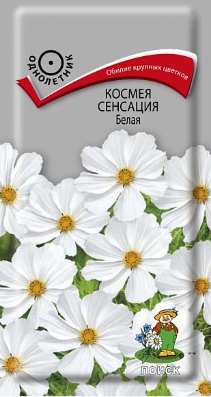 Семена цветов, Космея Сенсация Белая, 0,3гр, ПОИСК