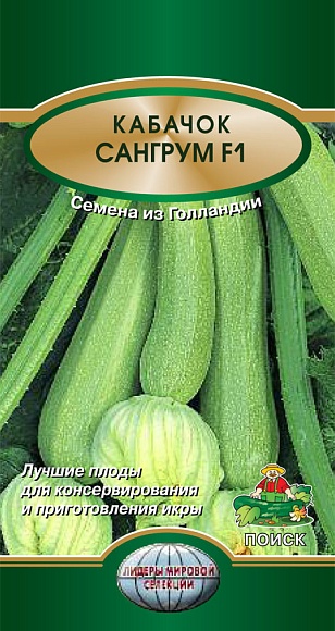Семена овощей, Кабачок Сангрум F1, 5 шт, Поиск