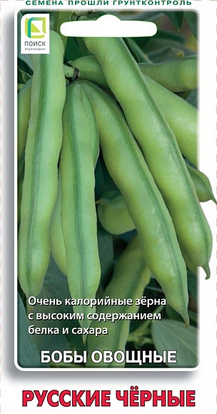 Бобы овощные Русские черные, 10шт, ПОИСК