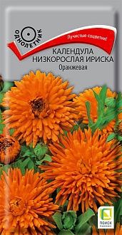Семена цветов, Календула низкорослая Ириска Оранжевая, 10шт, ПОИСК