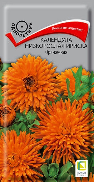 Семена цветов, Календула низкорослая Ириска Оранжевая, 10шт, ПОИСК
