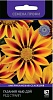 Семена цветов, Газания Гацания Нью Дэй Ред Шейдес Семена Профи, 10 шт, Поиск