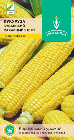 Кукуруза Кубанский Сахарный 210 сахарная цветной пакет 5 гр Евро-семена