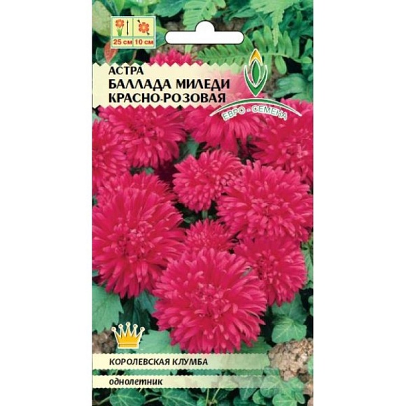 Семена цветов, Астра Баллада Миледи красно-розовая, 0,1 гр, Евро-семена
