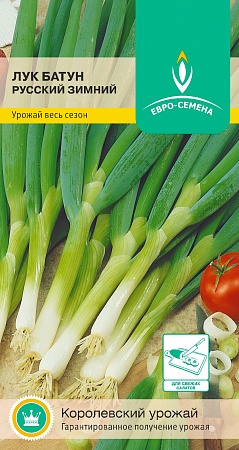 Лук батун Русский зимний цветной пакет 1 гр Евро-семена