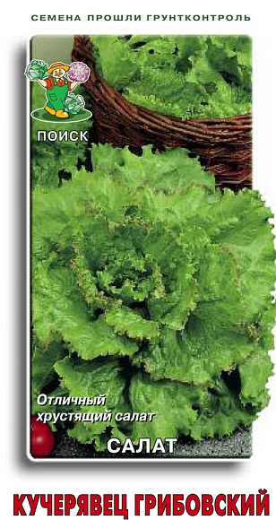 Семена овощей, Салат Кучерявец Грибовский, 1 гр, Поиск