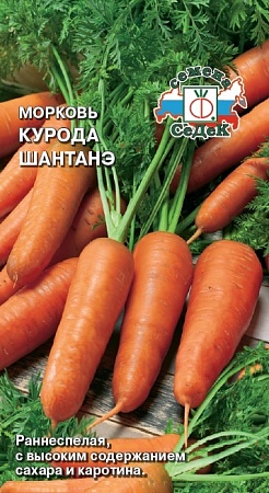 Морковь Курода Шантанэ Евро, 1 гр Седек