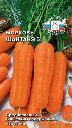 Морковь Шантанэ №5 Евро, 1 гр Седек