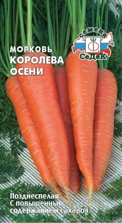 Морковь Королева Осени Евро, 2 гр Седек