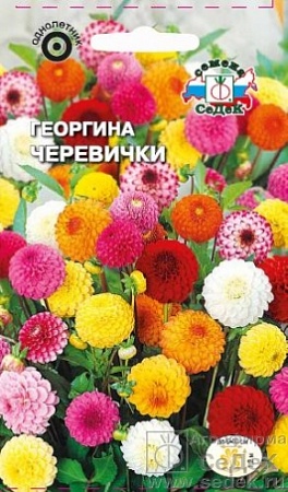Георгина Черевички высокорослая помпонная смесь цветов Евро, 0,2 гр, Седек