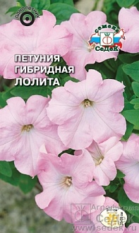 Семена цветов, Петуния Лолита F1 низкорослая, крупноцветковая, светло-розовая Евро, 10 шт, Седек
